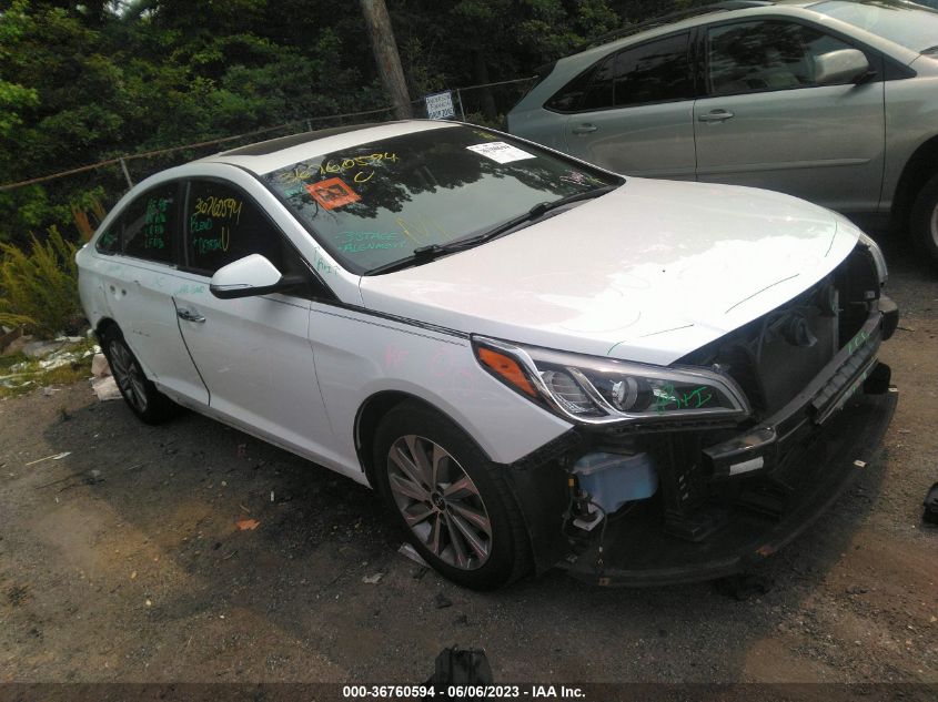 2017 HYUNDAI SONATA SPORT - 5NPE34AF6HH543519