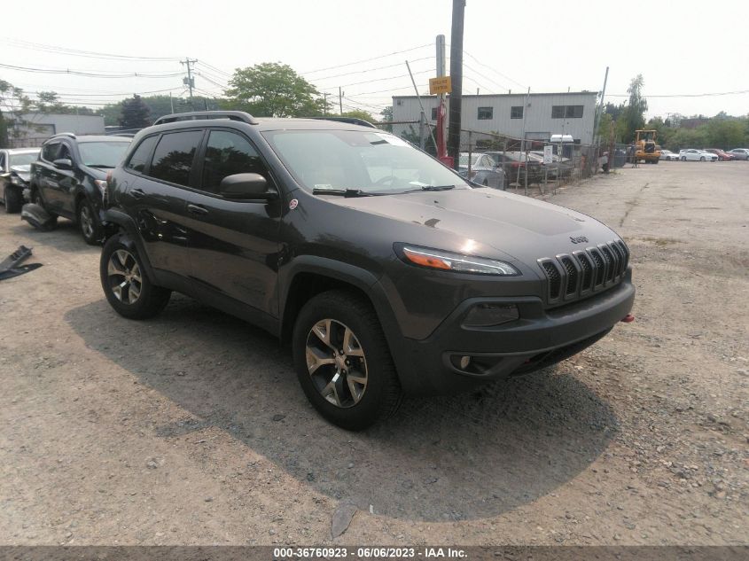 2016 JEEP CHEROKEE TRAILHAWK - 1C4PJMBS8GW231317