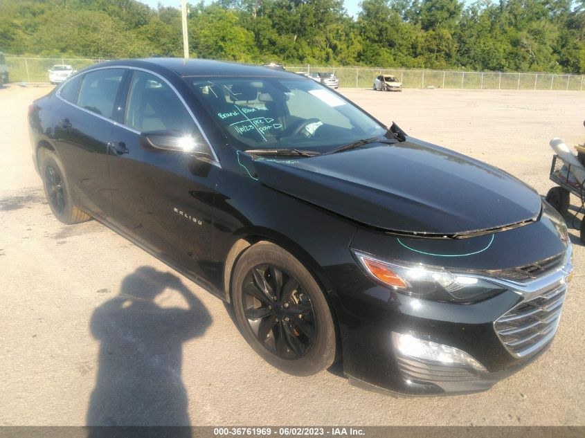 2019 CHEVROLET MALIBU LT - 1G1ZD5ST3KF137667
