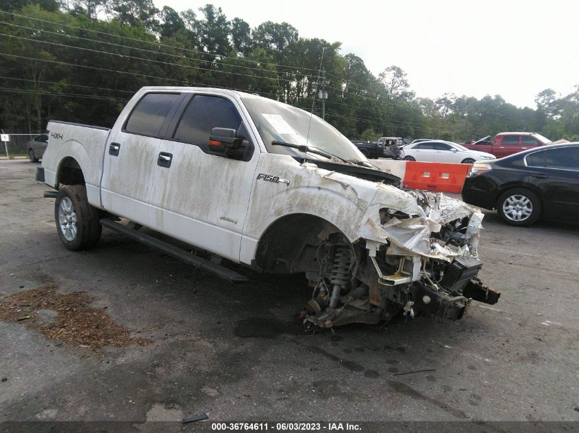 2013 FORD F-150 XL/XLT/FX4/LARIAT - 1FTFW1ET7DKD47174