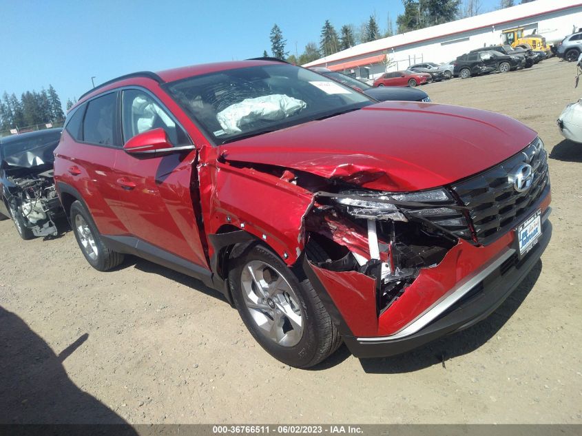 2023 HYUNDAI TUCSON SEL - 5NMJBCAE4PH248935