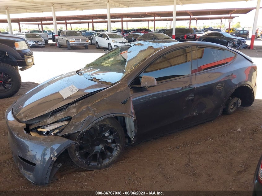 VIN 7SAYGDEE4NF354125 2022 TESLA MODEL Y