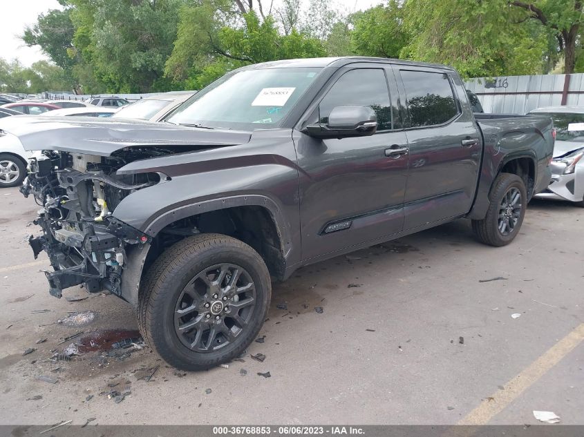 2022 TOYOTA TUNDRA 4WD PLATINUM - 5TFNA5DB5NX028919