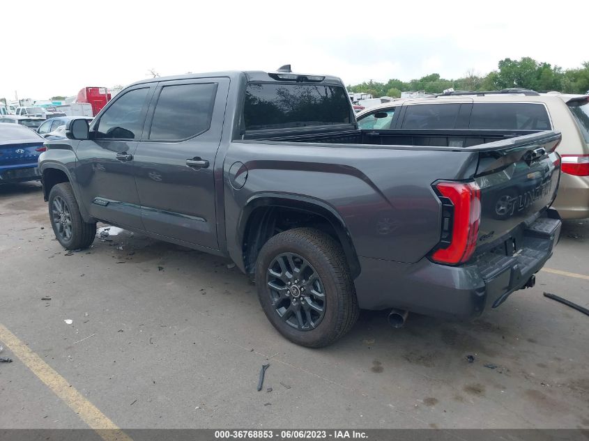 2022 TOYOTA TUNDRA 4WD PLATINUM - 5TFNA5DB5NX028919