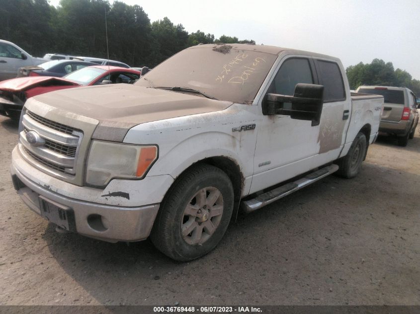 2014 FORD F-150 XL/XLT/FX4/LARIAT - 1FTFW1ET3EFA60554