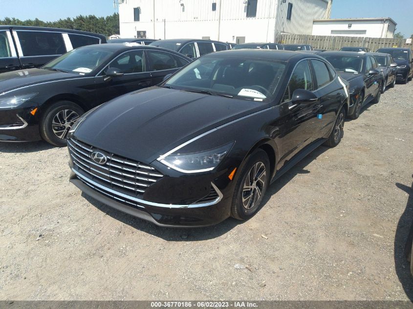 2023 HYUNDAI SONATA HYBRID BLUE - KMHL24JJXPA067288