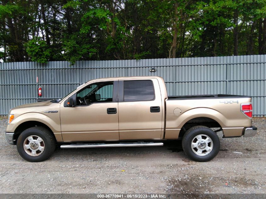 2014 FORD F-150 XL/XLT/STX/FX4/LARIAT - 1FTFW1EF3EKG12152