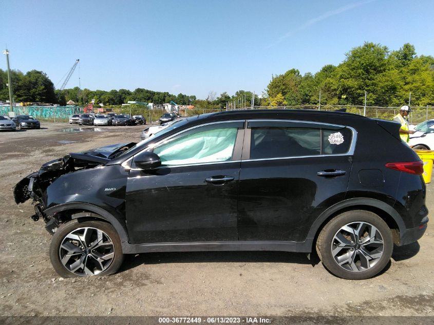 2022 KIA SPORTAGE EX - KNDPNCAC8N7981252