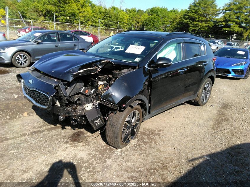 2022 KIA SPORTAGE EX - KNDPNCAC8N7981252