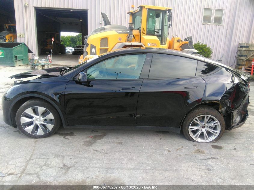 2021 TESLA MODEL Y - 5YJYGDEE2MF146871