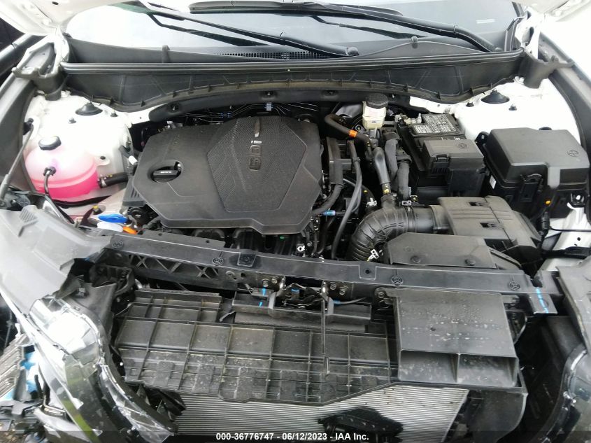 2023 HYUNDAI TUCSON SEL - 5NMJFCAE6PH246124
