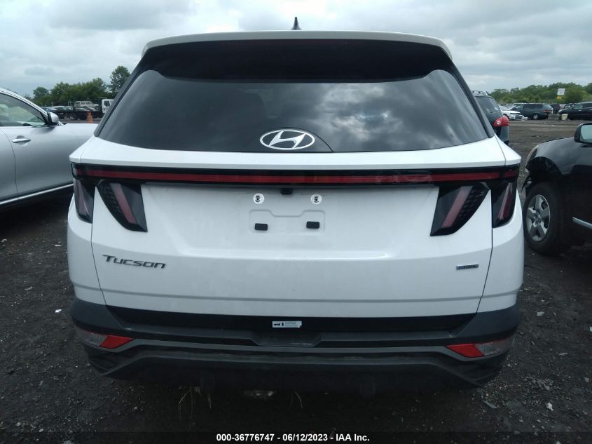 2023 HYUNDAI TUCSON SEL - 5NMJFCAE6PH246124