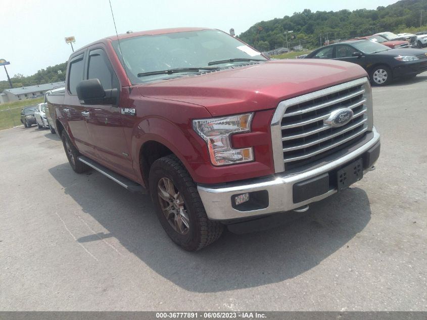 2015 FORD F-150 XLT/XL/LARIAT - 1FTEW1EP1FKF13934