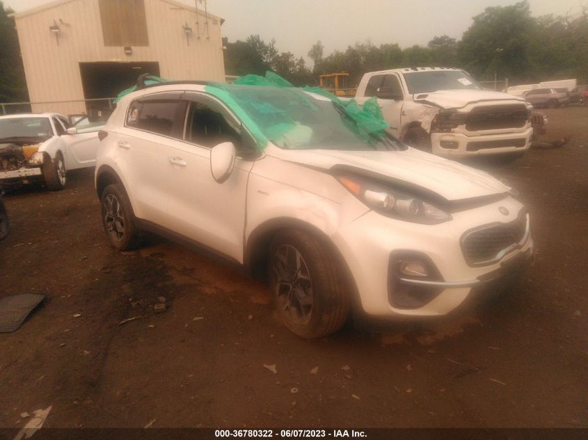 2022 KIA SPORTAGE EX - KNDPNCAC7N7018309