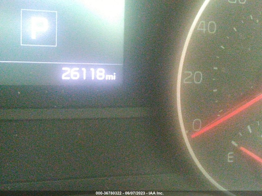 2022 KIA SPORTAGE EX - KNDPNCAC7N7018309