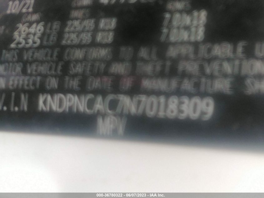 2022 KIA SPORTAGE EX - KNDPNCAC7N7018309