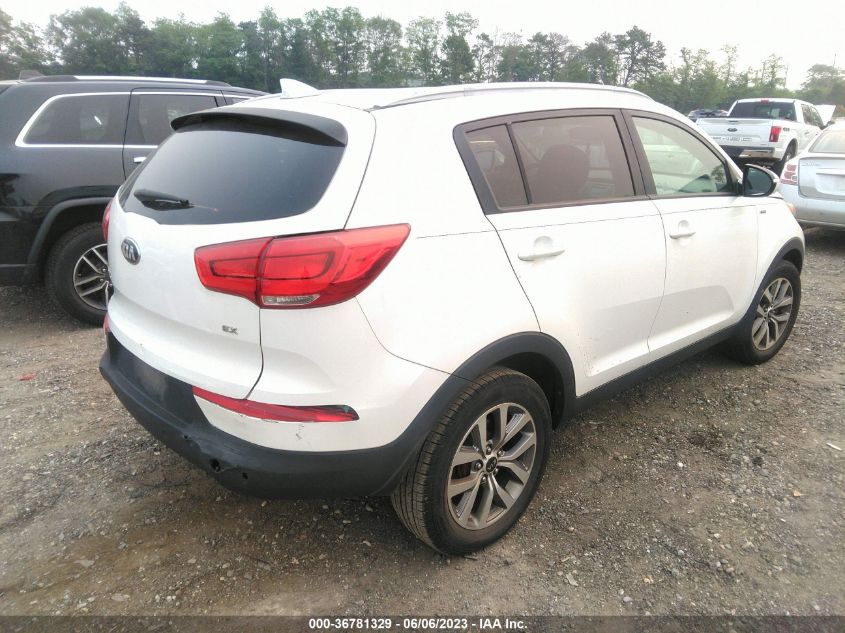 2014 KIA SPORTAGE LX - KNDPBCAC6E7574863