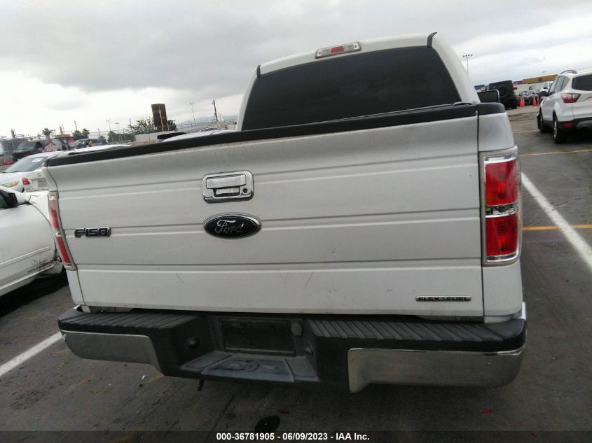2014 FORD F-150 XL/STX/XLT - 1FTEW1CM5EKE85501