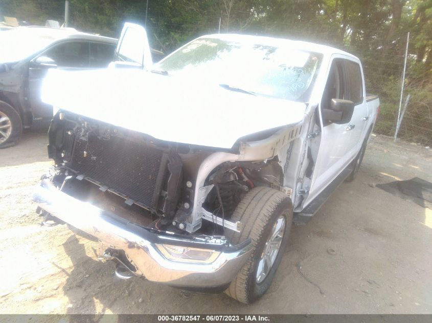 2021 FORD F-150 XL/XLT/LARIAT - 1FTFW1E53MKE47368