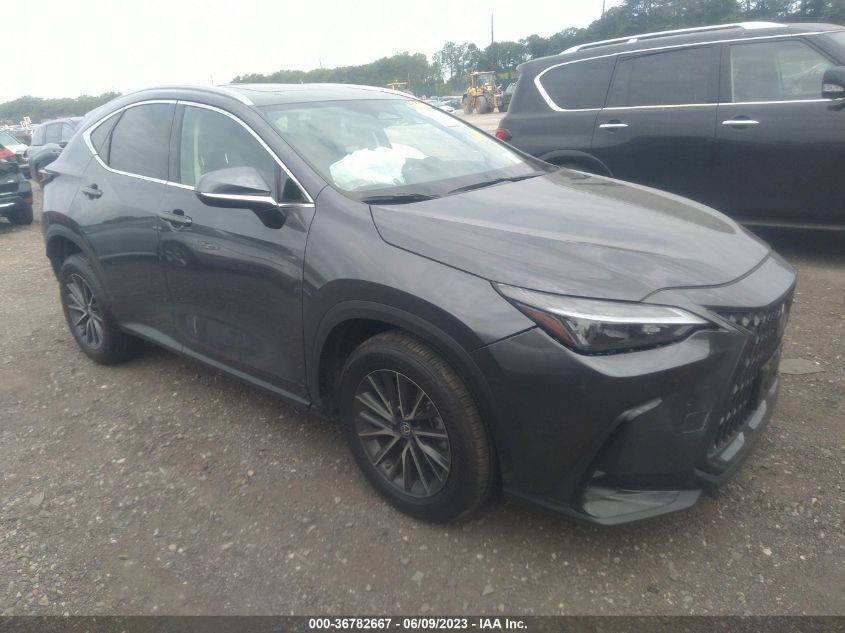 2T2GGCEZ2PC026484 LEXUS NX NX 350 PREMIUM 2023
