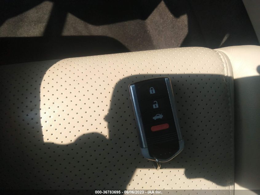 2013 ACURA TL TECH - 19UUA8F53DA012368