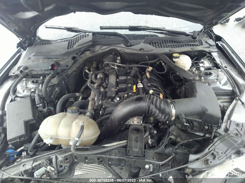 2021 FORD MUSTANG ECOBOOST - 1FATP8UH0M5124937