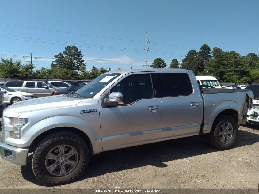 2015 FORD F-150 XLT/XL - 1FTEW1C87FKE71667