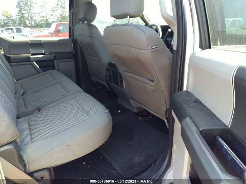 2015 FORD F-150 XLT/XL - 1FTEW1C87FKE71667