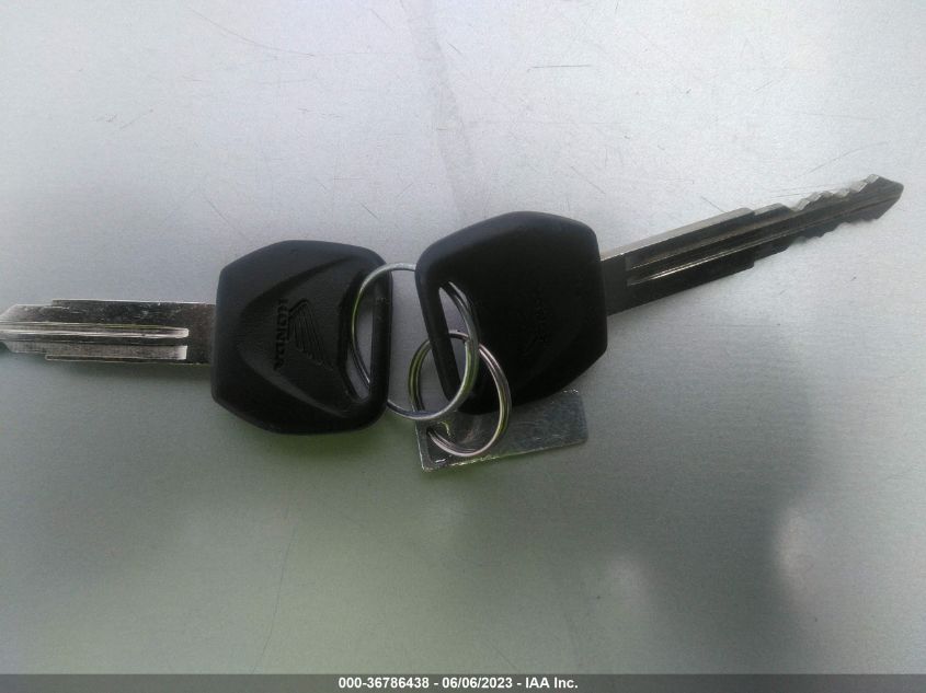 2022 HONDA CMX300 - MLHNC5303N5500456