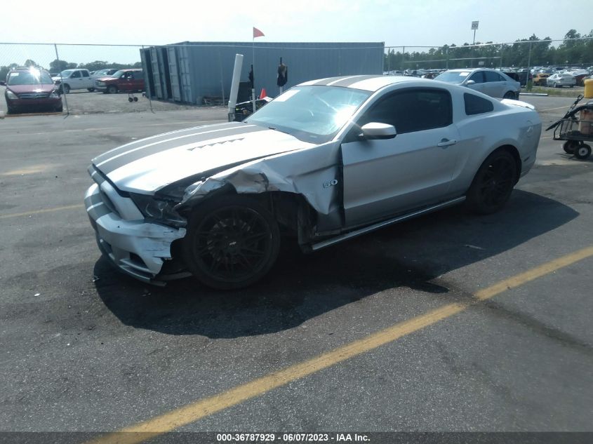 1ZVBP8CF9E5223647 2014 FORD MUSTANG, photo no. 2