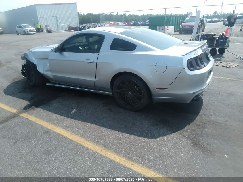 1ZVBP8CF9E5223647 2014 FORD MUSTANG, photo no. 3