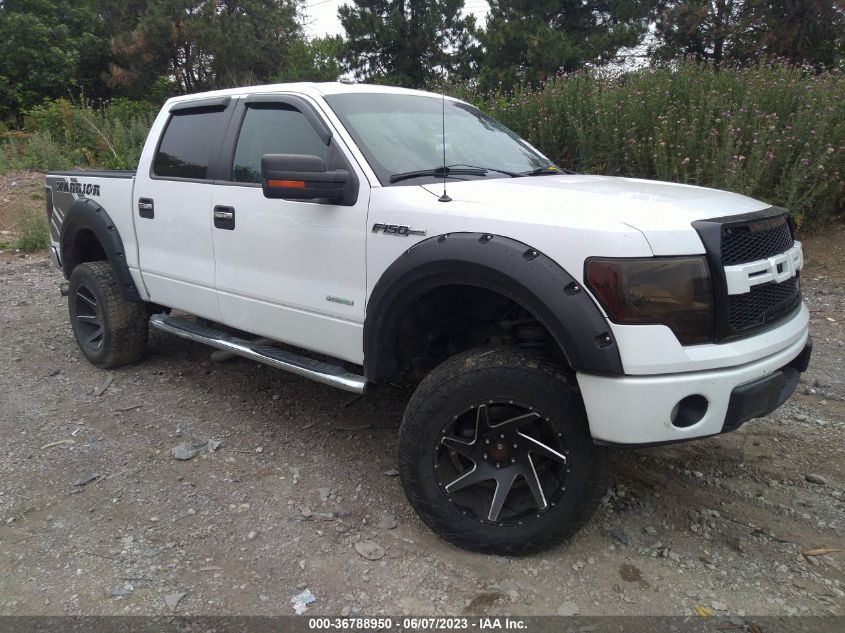 2013 FORD F-150 XL/XLT/FX4/LARIAT - 1FTFW1ETXDKD52868