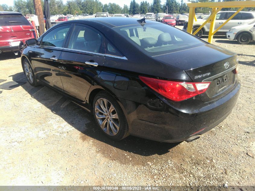 2013 HYUNDAI SONATA LIMITED - 5NPEC4AB0DH549419