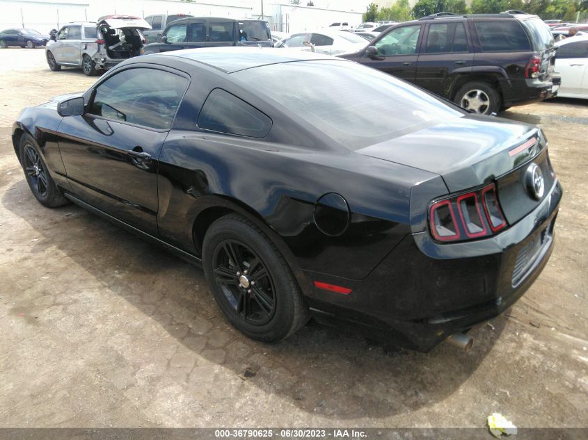 2014 FORD MUSTANG V6 - 1ZVBP8AM8E5274834