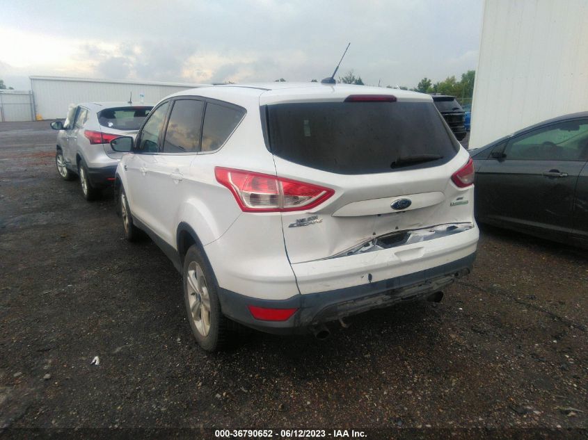 2014 FORD ESCAPE SE - 1FMCU0GX6EUA54192