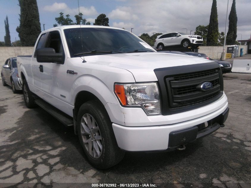 2013 FORD F-150 XL/XLT/FX4/LARIAT - 1FTFX1ET6DKE46548