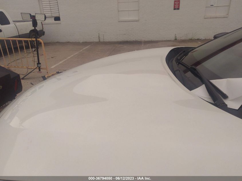 2019 NISSAN MAXIMA SL - 1N4AA6AVXKC370667