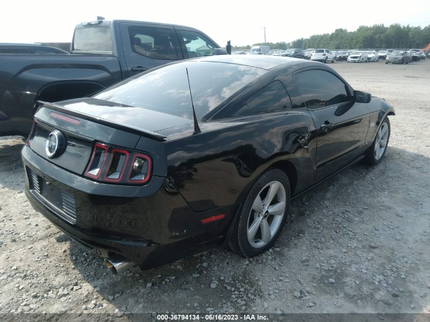 2013 FORD MUSTANG GT - 1ZVBP8CFXD5265730