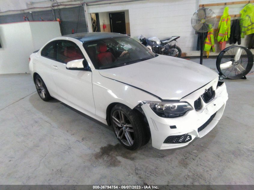 2015 BMW 2 SERIES 228I XDRIVE - WBA1F7C53FVX96092