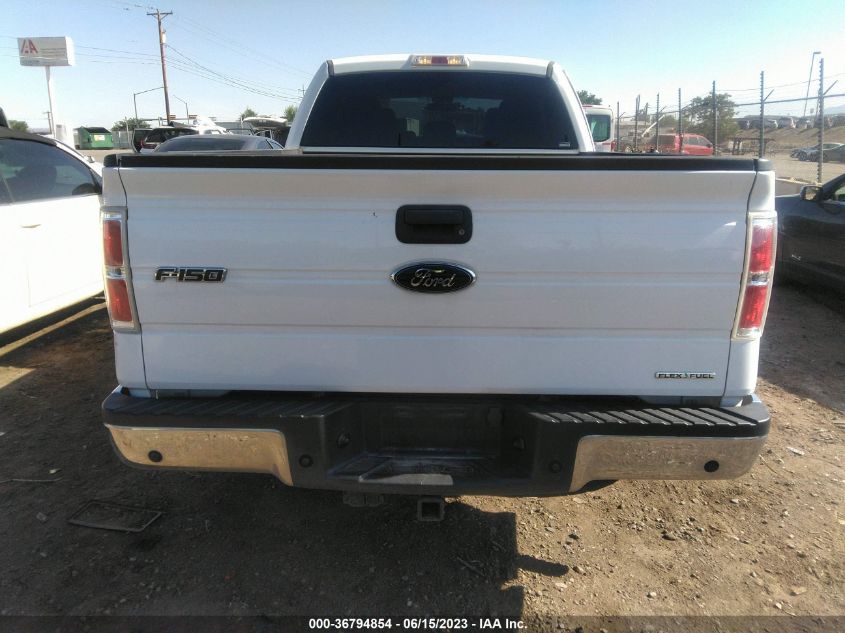 2014 FORD F-150 XL/STX/XLT - 1FTEX1CM0EKG25340