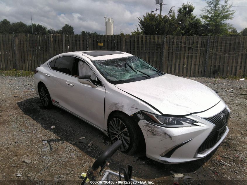 2019 LEXUS ES ES 350 - 58ABZ1B1XKU013154