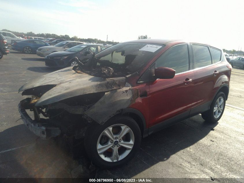 2014 FORD ESCAPE SE - 1FMCU0GX5EUA78371