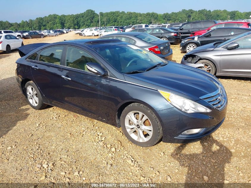 2013 HYUNDAI SONATA LIMITED - 5NPEC4AC4DH599443