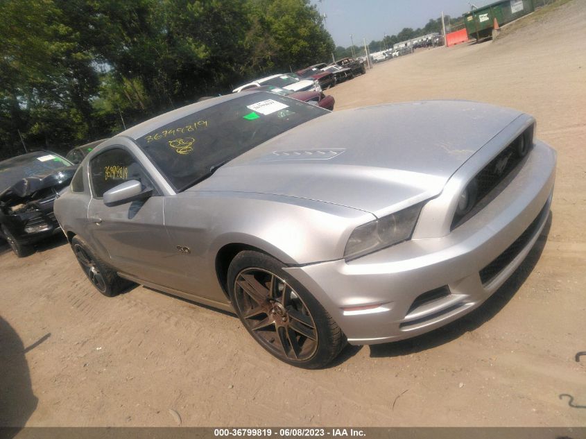 2014 FORD MUSTANG GT - 1ZVBP8CF8E5233134