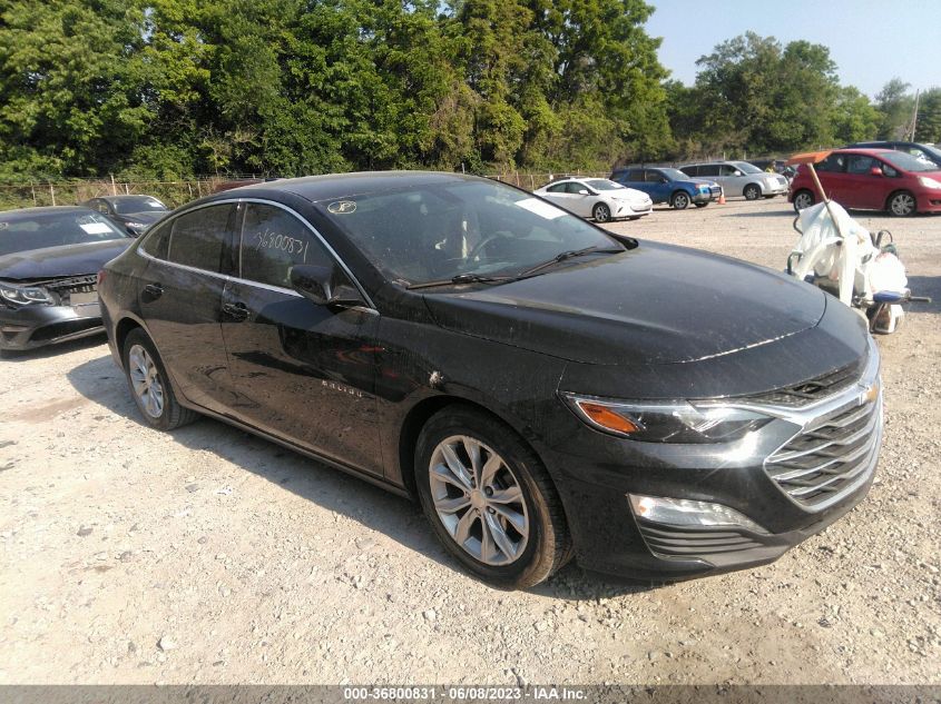 2019 CHEVROLET MALIBU LT - 1G1ZD5STXKF156300