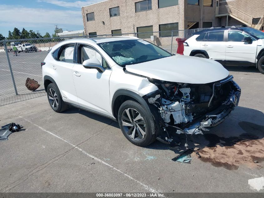 2021 LEXUS NX NX 300H - JTJGJRDZ1M5013984