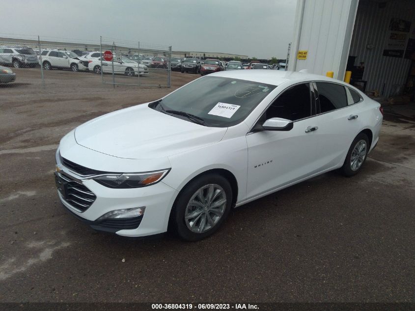 2019 CHEVROLET MALIBU LT - 1G1ZD5ST5KF113337