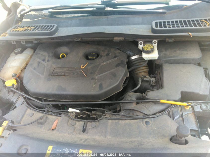 2013 FORD ESCAPE SE - 1FMCU0G94DUD03573