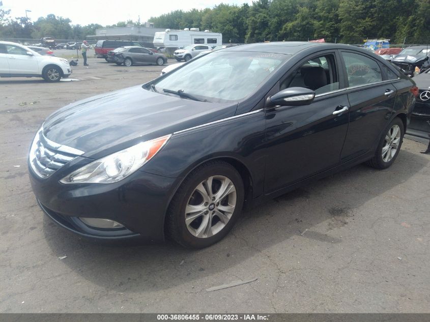 2013 HYUNDAI SONATA LIMITED PZEV - 5NPEC4AC8DH552044