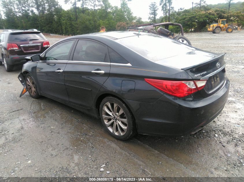 2013 HYUNDAI SONATA LIMITED - 5NPEC4AB8DH572835